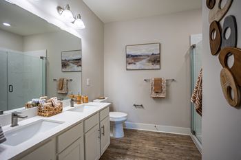 a bathroom with a sink and a toilet and a shower